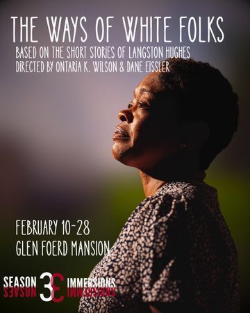 The Ways of White Folks poster