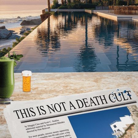 This Is Not a Death Cult poster