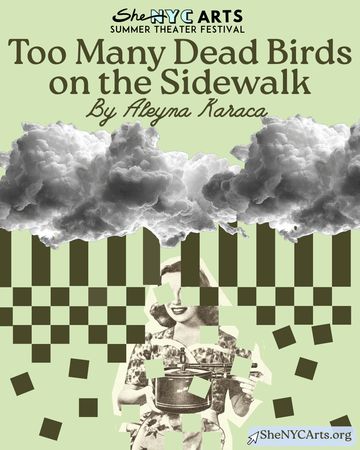 Too Many Dead Birds on the Sidewalk