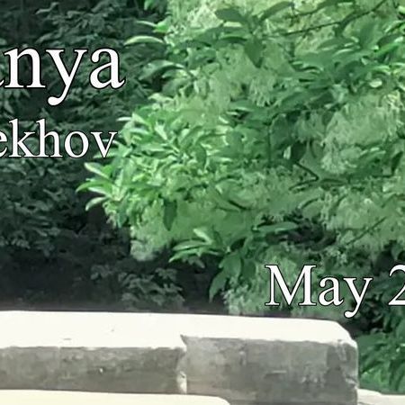 Uncle Vanya poster
