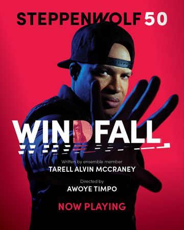 Windfall poster