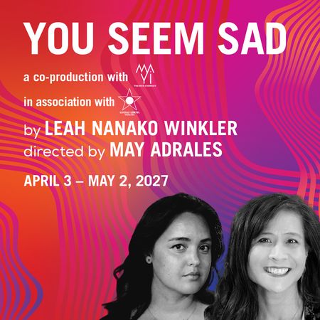 You Seem Sad poster