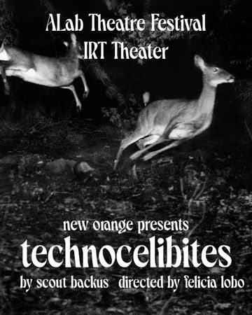 Technocelibites poster